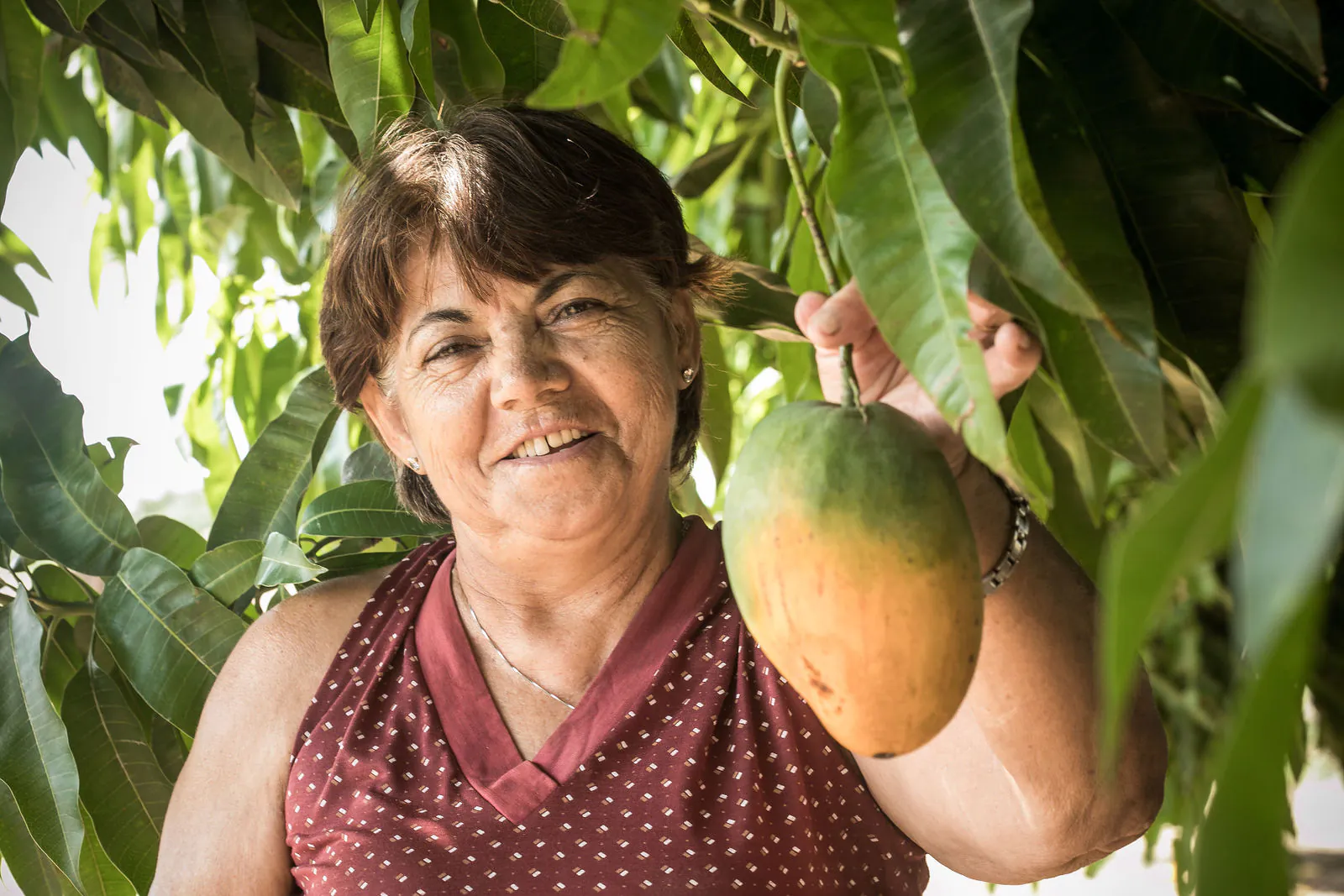 2c6d3f5ea3630da740046baf2f92bb97-xxlarge