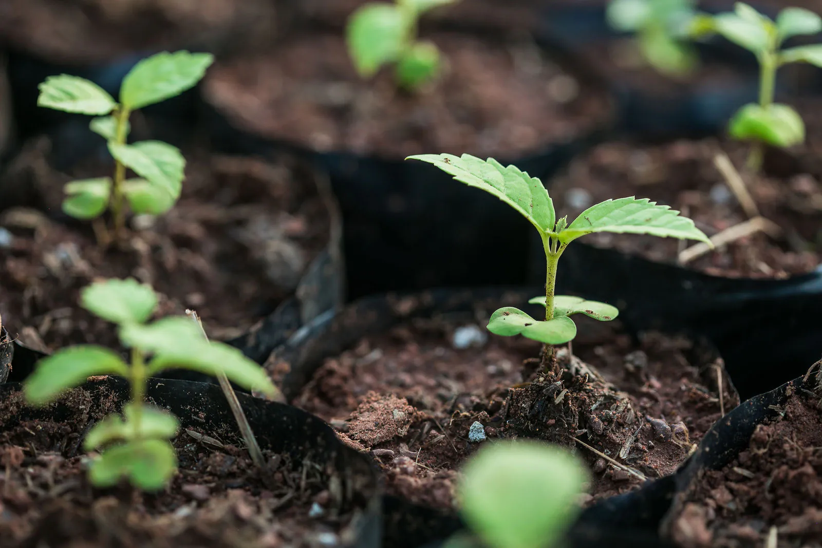 8d4e025daf55dcfd76c46f4c97b73638-xxlarge