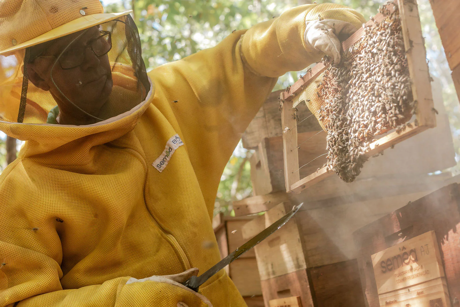 f982aaadb7e9930bc0e0fe0cf37181c3-xxlarge